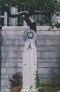estàtua de ciment, arbre, gris, Corea del Sud, 로, tomba, làpida, planta, flor, símbol, roba, pantalons, arranjament floral, creu, resant, religió, estàtua, decoració de la llar, llosa, ram de flors, escultura, representació, representació humana, cap gent, arquitectura, art i artesania, dia, creativitat, estructura construïda, semblança femenina, espiritualitat, creença, semblança masculina, naturalesa, artesania, a l'aire lliure, 4K, CC0, domini públic, lliure de regalies