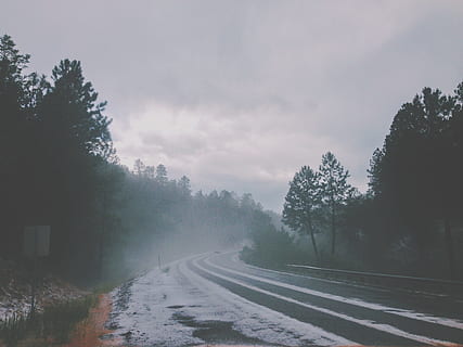 arbre, naturalesa, bosc, muntanya, neu, fred, hivern, núvol, boira, carretera, llum solar, al matí, gelades, alba, corba, temps, boirina, temporada, camp, plugim, fenomen atmosfèric, planta, cel, transport, núvol - cel, bellesa a la natura, cap gent, direcció, el camí a seguir, dia, tranquil·litat, creixement, escena tranquil·la, temperatura de fred, escenics - natura, escena no urbana, a l'aire lliure, 2K, CC0, domini públic, lliure de regalies