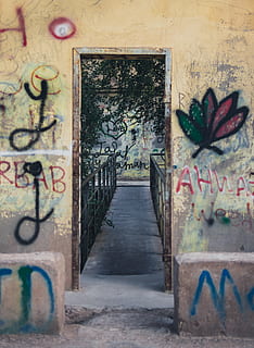 tom korridor, graffiti, konst och hantverk, arkitektur, inget folk, kreativitet, väggbyggande funktion, byggd struktur, text, dag, gatukonst, kommunikation, vägg, växt, vägen framåt, utomhus, representation, riktning, byggnad, byggnad exteriör, mural, blommönster, 5K, CC0, offentligt domän, royaltyfria