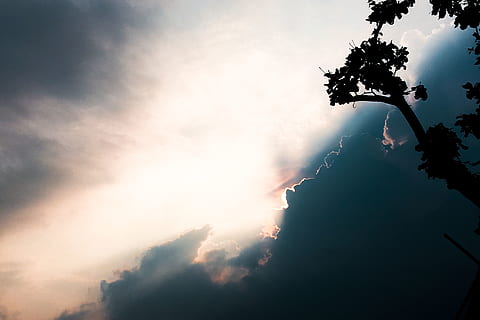 silueta d’arbre, retroil·luminat, núvols, ennuvolat, fosc, alba, la llum del dia, tarda, llum, escènic, cel, sol, sortida del sol, posta de sol, arbre, temps, núvol - cel, silueta, planta, naturalesa, cap gent, a l'aire lliure, bellesa a la natura, llum solar, dia, vista d’angle baix, tranquil·litat, escena tranquil·la, escenics - natura, raig de sol, fum - estructura física, aigua, reflexió, 4K, CC0, domini públic, lliure de regalies