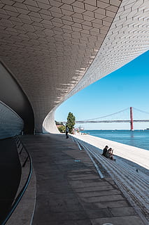 percorso concreto, connessione, struttura costruita, architettura, ponte, mezzi di trasporto, ponte - struttura fatta dall'uomo, cielo, acqua, giorno, natura, direzione, la strada davanti, animale, temi animali, persone reali, viaggio, un animale, vertebrato, all'aperto, soffitto, 4K, CC0, dominio pubblico, privo di copyright
