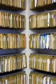 soubory, archiv, organizace, dokumentů, druh, soubor, uvnitř, police, vydání, velká skupina objektů, rezervovat, v řadě, nikdo, pozadí, celý rám, vzdělání, bok po boku, stálý život, regál, uspořádání, knihovna, objednat, hojnost, detail, sbírka, učení se, 4K, CC0, veřejná doména, bez autorských práv