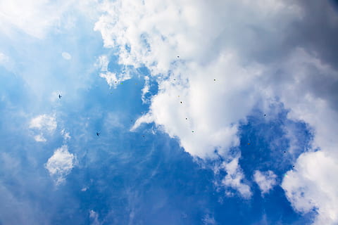 , cel, volant, paracaigudisme, gent, paracaigudista, paracaigudistes, risc, blau, a l'aire lliure, esport, caient, aire, núvol - cel, naturalesa, escenics - natura, bellesa a la natura, tranquil·litat, Color blanc, cap gent, cloudscape, dia, a l'aire, escena tranquil·la, medi ambient, núvol, vista d’angle baix, fons, vent, meteorologia, brillant, fons abstractes, 5K, CC0, domini públic, lliure de regalies