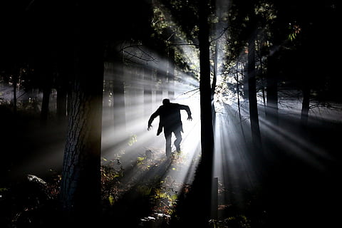 foncé, nuit, lumière, des arbres, plante, forêt, peur, homme, fonctionnement, personnes, seul, silhouette, arbre, une personne, Vrais gens, la nature, terre, toute la longueur, modes de vie, Activité de loisir, Hommes, tronc d'arbre, personne méconnaissable, tronc, vue arrière, croissance, journée, en plein air, 1080P, CC0, domaine public, libre de droits