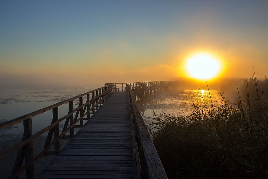 silhuetfotografi, sort, træ-, dok, strand, bro, daggry, aften, græs, horisont, anløbsbro, landskab, lys, ensomhed, humør, morgendåge, fredelig, reed, afspejling, lempelse, hvile, sol, solstråle, solopgang, solnedgang, vand, himmel, scenics - natur, rolig scene, skønhed i naturen, ro, natur, hav, rækværk, sollys, idyllisk, ingen mennesker, ikke-urbane scene, plante, jord, orange farve, udendørs, horisont over vand, lyse, marram græs, 5K