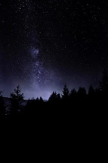 Kiefern, sternenklarer Himmel, Star, Baum, Himmel, Wald, Milchstraße, dunkel, Natur, Landschaft, Silhouette, Astrofotografie, Blau, Nacht-, Heiliger Lawrence, San Lorenzo, Traum, Stern - Raum, Astronomie, Galaxis, Konstellation, Nebel, Platz, Sternfeld, Planet - Raum, Wissenschaft, Sternform, Astrologie, schwarze Farbe, Mond, Sternspur, Houston Astros, Licht - natürliches Phänomen, Hintergründe, Weltraumforschung, Astronomie-Teleskop, Meteor, Erkundung, Langzeitbelichtung, Nordlicht, szenen, Unendlichkeit, draußen, Kosmos Blume, glühend, Berg, Aurora Polaris, Nordstern, beleuchtet, Schönheit in der Natur, Geheimnis, 4K, CC0, gemeinfrei, lizenzfrei