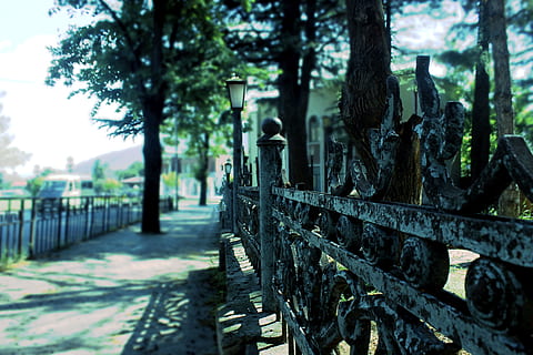Geòrgia, mtskheta, arbre, planta, dia, centrar-se en primer pla, naturalesa, cap gent, tronc de l'arbre, tronc, barana, a l'aire lliure, metall, enfocament selectiu, material de fusta, arquitectura, creixement, parc, estructura construïda, barrera, límit, llum solar, 4K, CC0, domini públic, lliure de regalies