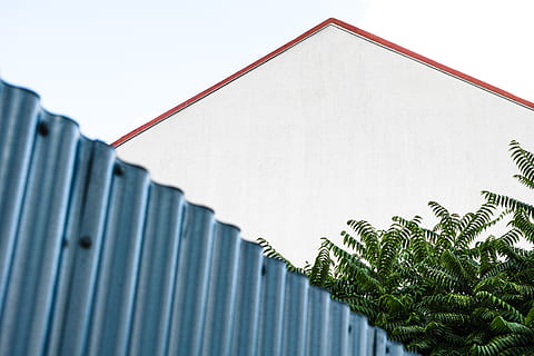 làmina gris galvanitzada, planta, flora, falguera, edifici, innsbruck, Austràlia, tanca, verd, paret, metall, conífera, arbre, teix, a l'aire lliure, bosc, terra, naturalesa, selva tropical, vegetació, edifici d'oficines, cap gent, dia, arquitectura, full, Palmera, exterior de l'edifici, estructura construïda, creixement, color verd, clima tropical, primer pla, patró, cel, funció de construcció de parets, vista d’angle baix, part de la planta, fulla de palma, 4K, CC0, domini públic, lliure de regalies