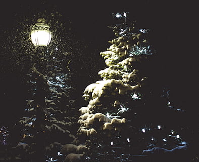Canadá, goderich, noite, neve, luminária, arvores, iluminado, equipamento de iluminação, árvore, natureza, ninguém, agua, visão de baixo ângulo, Natal, plantar, dentro de casa, embaixo da agua, brilhando, árvore de Natal, decoração, eletricidade, Decoração de Natal, inverno, fundo preto, marinho, 2K, CC0, domínio público, royalty free
