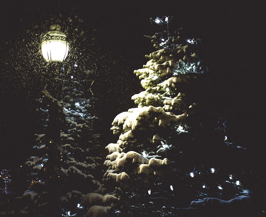 Canadà, goderich, nit, neu, llum, arbres, il·luminat, equips d’il·luminació, arbre, naturalesa, cap gent, aigua, vista d’angle baix, Nadal, planta, a l'interior, sota l'aigua, brillant, arbre de Nadal, decoració, electricitat, decoració de Nadal, hivern, fons negre, marí, 2K