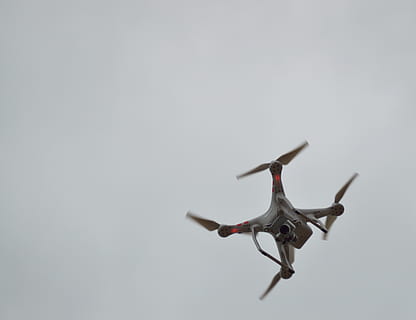gri, Quadcopter, uçuş, hava, kamera, kontrol, erkek arı, çekim, uçan, pervane, teknoloji, videografi, kopya alanı, insansız, havadaki, stüdyo çekimi, tam uzunluk, hayvan temaları, hayvan yaban hayatı, hayvan, hava aracı, içeriye, hareket, bir hayvan, vahşi hayvanlar, yandan görünüş, kuş, gri arkaplan, atlama, uçak, saldırganlık, profil görünümü, 5K, CC0, kamu malı, telif ücretsiz