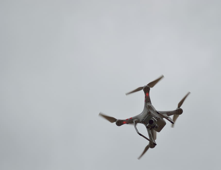 gris, quadcopter, vol, aèria, càmera, control, drone, rodatge, volant, hèlix, tecnologia, videografia, còpia espai, cap gent, a l'aire, tir de l'estudi, longitud completa, temes d'animals, fauna animal, animal, vehicle aeri, a l'interior, moviment, un animal, animals a la natura, vista lateral, ocell, fons gris, saltar, avió, agressió, vista del perfil, 5K