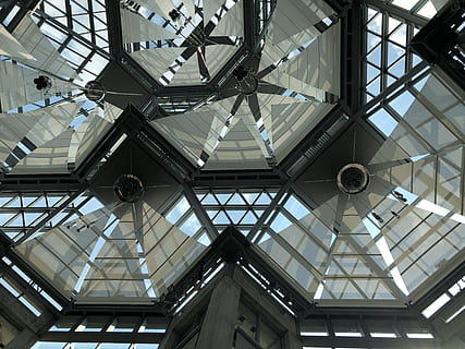 techo, vaso, forma, modelo, Art º, galería, Ottawa, vista de ángulo bajo, arquitectura, estructura construida, adentro, nadie, material de vidrio, claraboya, día, forma geometrica, característica arquitectónica, luz del sol, Hazme, edificio, arquitectura y arte, directamente debajo, colgando, moderno, florido, cúpula, 4K, CC0, dominio público, libre de derechos