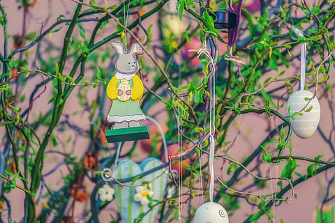 albero di Pasqua, Pasqua, ramo, uovo, coniglietto di Pasqua, simbolo, battezzare, decorazione, vacanze, primavera, pianta, nessuno, concentrarsi sulle conoscenze acquisite, sospeso, colore verde, avvicinamento, natura, giorno, comunicazione, all'aperto, attrezzatura per l'illuminazione, testo, messa a fuoco selettiva, foglia, parte vegetale, rappresentazione, spiritualità, religione, lampada elettrica, 4K, CC0, dominio pubblico, privo di copyright