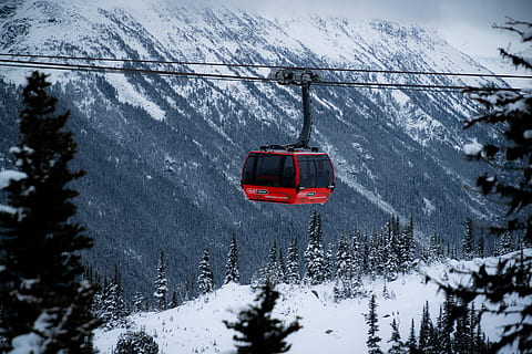 funivia rossa, Canada, Whistler, veicolo, mezzi di trasporto, funivia, elicottero, aereo, pianta, albero, grigio, palo di utilità, inverno, abete, abies, foresta, sfondo, peak2peak, corda, conifera, pino, la neve, temperatura fredda, modo di trasporto, montagna, natura, bellezza nella natura, scenics - natura, rosso, montagna innevata, Colore bianco, giorno, viaggio, auto, terra, nessuno, nevicando, all'aperto, tempo estremo, 5K, CC0, dominio pubblico, privo di copyright
