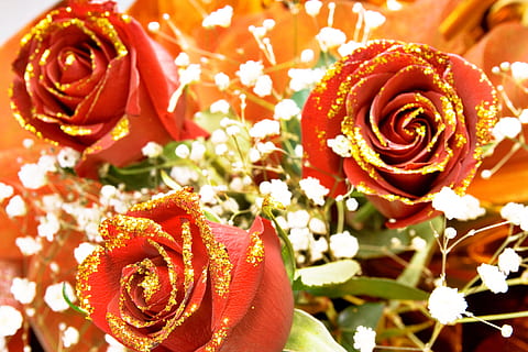 rosa, vermelho, haste, fundo, valentim, decoração, conceito, fechar-se, verde, floral, pétala, dia, aroma, símbolo, celebração, leve, presente, jardinagem, amor, macro, elegante, textura, jardim, cor, namorados, romance, solteiro, brotar, natural, flertando, Primavera, paixão, aniversário, folha, feriado, verão, evento, Flor, fragilidade, objeto, plantar, beleza, romântico, lindo, fresco, natureza, padronizar, perfeição, planta com flores, beleza na natureza, Flor rosa, frescura, cabeça de flor, inflorescência, vulnerabilidade, ninguém, focar em primeiro plano, ramalhete, arranjo de flores, dia dos namorados - feriado, 4K, CC0, domínio público, royalty free