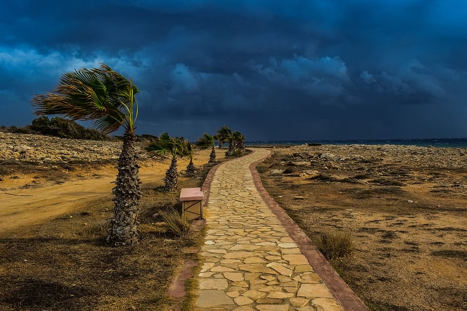 Pfad, Steinweg, Palmen, Sturm, stürmisches Wetter, dunkler Himmel, Wolken, Herbst, Natur, Landschaft, Ayia napa, Zypern, Himmel, wolke - himmel, Pflanze, Baum, Szenen - Natur, der Weg nach vorn, Schönheit in der Natur, Land, Richtung, Fußweg, Ruhe, Palme, Wasser, ruhige Szene, Meer, Sturmwolke, Umgebung, draußen, keine Leute, Horizont über Wasser, 5K