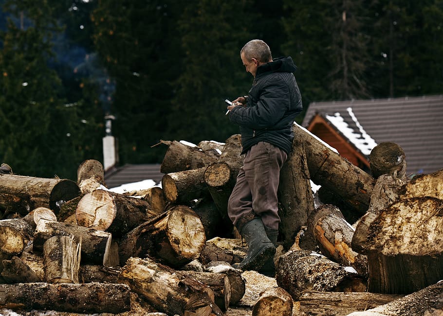 Ucraïna, dragobrat, arbres, bosc, fusta, poble, arbre, assegut, persones reals, naturalesa, dia, activitat d'oci, estils de vida, material de fusta, rock, gent, sòlid, rock - object, registre, longitud completa, pila, a l'aire lliure, 2K
