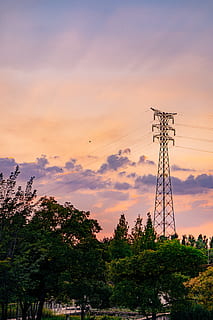 manzara fotoğrafçılığı, ağaçlar, elektrik kulesi, altın, saat, bulutlar, şafak, elektrik, enerji, çevre, yüksek, yüksek voltaj, peyzaj, düşük açılı atış, Güç hatları, gökyüzü, gün batımı, teknoloji, kule, transmisyon, Voltaj, tel, ağaç, bulut - gökyüzü, bitki, elektrik pilonu, bağ, yakıt ve enerji üretimi, düşük açılı görünüş, doğa, güç kaynağı, güç hattı, doğada güzellik, kablo, insansız, büyüme, manzaralar - doğa, turuncu renk, açık havada, küresel iletişim, elektrikli ekipman, 5K, CC0, kamu malı, telif ücretsiz
