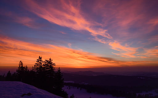 apus de soare, cer, copaci, pădure, iarnă, zăpadă, peisaj, seară, culoare, amurg, nori, șeful fugi, Neuchatel, Elveţia, scenice - natura, frumusețe în natură, o scenă liniștită, liniște, nor - cer, culoare portocalie, copac, plantă, natură, mediu inconjurator, siluetă, scenă non-urbană, nici o persoana, idilic, temperatura rece, în aer liber, cerul romantic, 5K, CC0, domeniu public, fără drepturi de autor