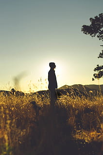 green grass, person, people, human, flora, food, wheat, plant, grain, vegetable, produce, silhouette, reed, grass, field, outdoors, grassland, road, gravel, dirt road, leisure activities, sky, one person, real people, sunset, land, standing, nature, leisure activity, hat, lifestyles, beauty in nature, three quarter length, environment, landscape, men, clear sky, 4K, CC0, public domain, royalty free