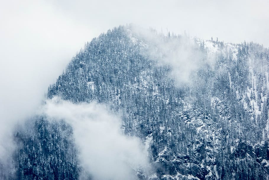 muntanya, muntanya alta, núvol, cel, cim, cresta, paisatge, naturalesa, vall, turó, neu, hivern, vista, viatjar, arbres, boira, temperatura de fred, bellesa a la natura, escenics - natura, medi ambient, arbre, terra, cap gent, dia, tranquil·litat, escena no urbana, planta, bosc, Color blanc, escena tranquil·la, a l'aire lliure, poder a la natura, arbre de coníferes, nevar, 4K