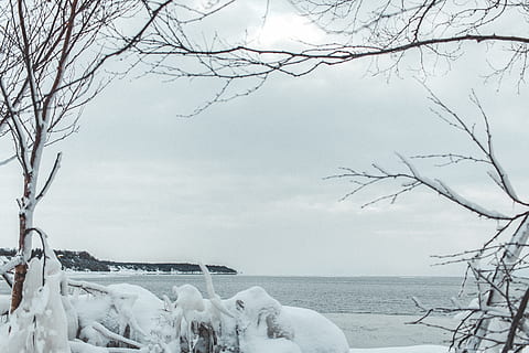 Kanada, goderich, led, stromy, zmrzl, zimní, voda, jezero, oceán, zamrzlý, sníh, strom, studená teplota, větev, Příroda, holý strom, klid, krása v přírodě, nebe, rostlina, klidné scény, scenics - příroda, životní prostředí, přistát, nikdo, venku, extrémní počasí, vánice, 5K, CC0, veřejná doména, bez autorských práv