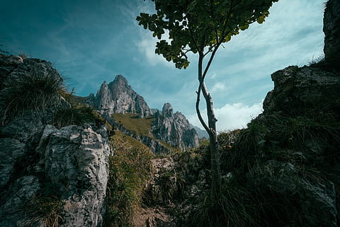 krajobraz górski, Alpy, na dworze, Natura, Góra, rifugio rosalba, Włochy, piani dei resinelli, pasmo górskie, herb, flora, roślina, krzak, wegetacja, drzewo, Klif, las, Las deszczowy, wylądować, drzewo iglaste, dżungla, piękno natury, niebo, spokój, scenics - natura, spokojna scena, chmura - niebo, skała, żadnych ludzi, scena pozamiejska, środowisko, wzrost, rock - obiekt, dzień, solidny, krajobraz, tworzenie, szczyt górski, 5K, CC0, domena publiczna, darmowe zdjęcia