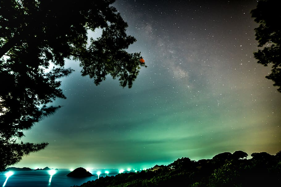 aurora jev, Příroda, venku, noc, aurora, astronomie, prostor, vesmír, Hvězdná obloha, dojení, dlouhé expozice, hvězd, koule, rostlina, strom, nebe, zelená, mlhovina, abies, jedle, hvězda - prostor, krása v přírodě, scenics - příroda, klidné scény, klid, nízký úhel pohledu, nikdo, silueta, hvězda, galaxie, idylický, zelená barva, hvězdné pole, 4K