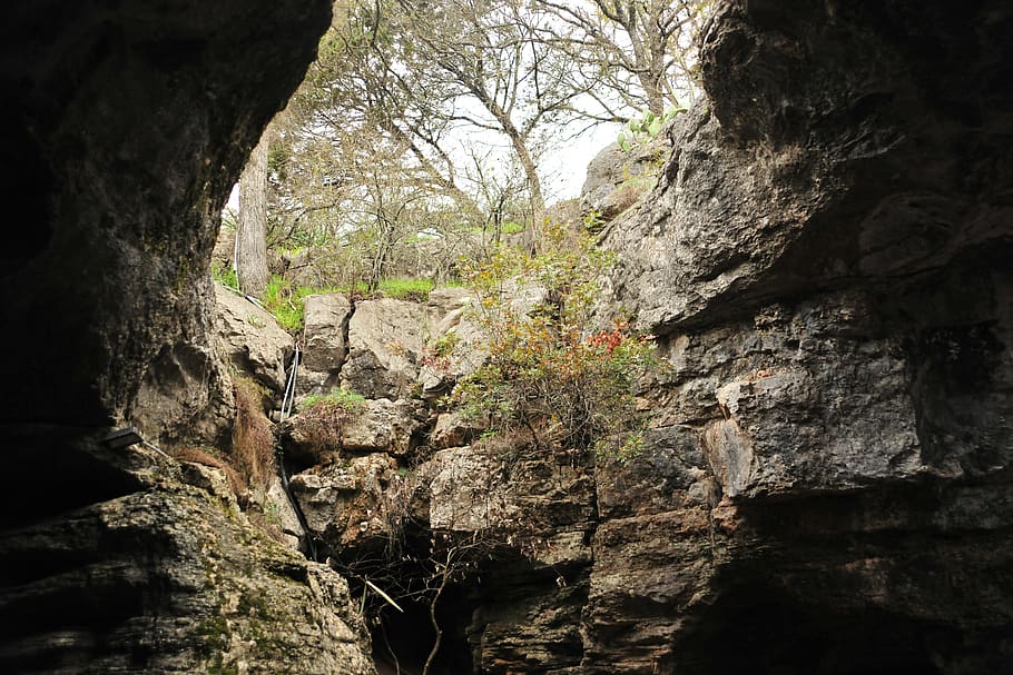 cavernes de llarg recorregut, arbre, rock, naturalesa, rock - object, sòlid, formació de roca, cap gent, dia, tranquil·litat, planta, bellesa a la natura, a l'aire lliure, creixement, terra, textura, bosc, vista d’angle baix, aspre, escena no urbana, escena tranquil·la, formació, erosionat, 5K