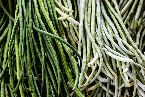 fascio, fagiolini, fagiolo, verdura, cibo, flora, pianta, produrre, Kansas City, stati Uniti, mercato fluviale, fagiolo verde, crescere, verde, veggie, albero, conifera, verdure, fagioli verdi, cresciuto, dualità, cibo e bevande, freschezza, colore verde, fotogramma intero, mercato, abbondanza, nessuno, grande gruppo di oggetti, sfondi, in vendita, Al dettaglio, benessere, mangiare sano, natura morta, mucchio, avvicinamento, giorno, vista dall'alto, 4K, CC0, dominio pubblico, privo di copyright