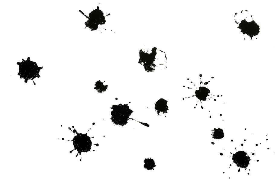 esquitxades, pintura, splat, esprai, tinta, tauler de tinta, taca, brutícia, fons, punt, aïllat, decoració, brut, blanc, líquid, concepte, símbol, blob, degoteig, tints, dibuix, negre, forma, resum, tirar, raspall, disseny, blot, grunge, lloc, splash, cap gent, grup d’animals, vista d’angle alt, naturalesa, fons blanc, temes d'animals, color negre, a l'interior, animal, Color blanc, dia, silueta, terra, tir de l'estudi, hivern, temperatura de fred, camp, directament a sobre, 4K
