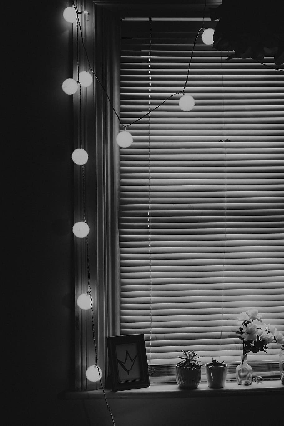 convertit, llums de corda, al costat, persianes, decoració de la llar, a l'interior, disseny d'interiors, finestra, cortina, ombra de la finestra, il·luminació, mobles, habitació, sala d'estar, cadira, taula, planta en test, planta, jar, ceràmica, gerro, menjar, electrònica, cap gent, il·luminat, equips d’il·luminació, flor, interior de casa, planta amb flors, penjant, decoració, naturalesa, arquitectura, arranjament, estructura construïda, funció de construcció de parets, llum, llum elèctrica, planta d'interior, sostre, 4K