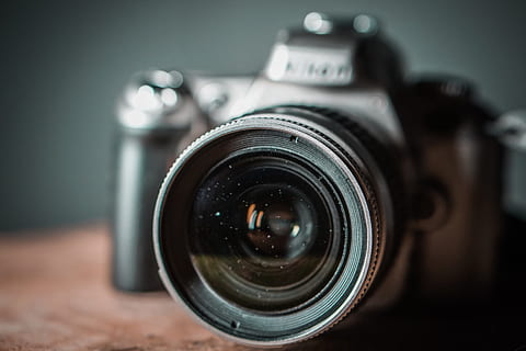 telecamera, elettronica, nikon, F55, Camera digitale, lenti della macchina fotografica, cinghia, schermo, videocamera, fotografia, foto, fotografo, webcam, mammifero, animale, cavallo, cavallo colt, cerniera, copriobiettivo, fiorire, macchina fotografica - attrezzatura fotografica, temi fotografici, obiettivo - strumento ottico, tecnologia, lente - occhio, avvicinamento, concentrarsi sulle conoscenze acquisite, attrezzatura fotografica, in casa, singolo oggetto, messa a fuoco selettiva, attività, Fotografare, nessuno, in stile retrò, natura morta, strumento ottico, fotocamera reflex, videocamera domestica, 5K, CC0, dominio pubblico, privo di copyright