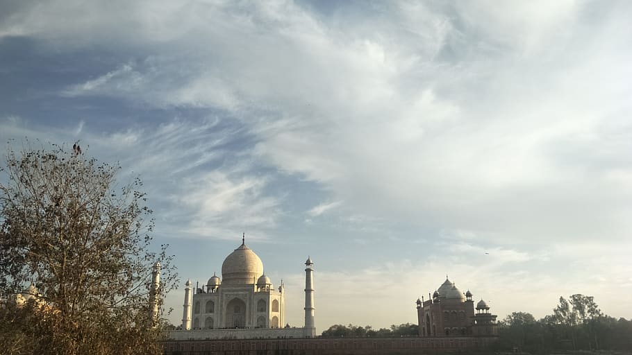 costruzione, architettura, cupola, moschea, India, natura, agra, taj mahal, albero, campanile, Torre, guglia, cielo, nube, all'aperto, Tajmahal, storia, viaggio, mondo, grande, esterno dell'edificio, struttura costruita, nuvola - cielo, religione, destinazioni di viaggio, nessuno, credenza, luogo di culto, spiritualità, giorno, città, turismo, governo, 4K