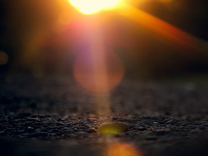 vervagen, zon, macro, licht, rotsen, rots, flor, zoom, selectieve aandacht, natuur, hemel, geen mensen, Lens flare, nacht, verlicht, fabriek, buitenshuis, zonsondergang, land-, deel van de plant, oppervlakteniveau, vuil, blad, licht - natuurverschijnsel, detailopname, grind, helder, 4K, CC0, publiek domein, royaltyvrij