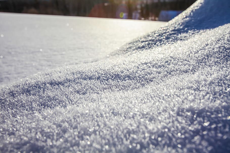 branco, suave, floco de neve, frio, gelo, neve, inverno, temperatura fria, ninguém, foco seletivo, natureza, dia, cor branca, congeladas, luz solar, fechar-se, cobertura, ao ar livre, terra, tranquilidade, beleza na natureza, campo, focar em primeiro plano, meio Ambiente, nível de superfície, pó de neve, 5K