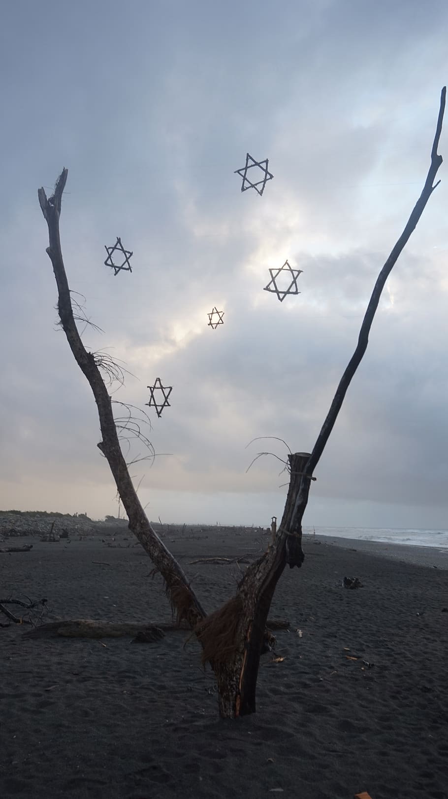 Hokitika, vand, himmel, natur, ro, skønhed i naturen, træ, rolig scene, scenics - natur, ingen mennesker, jord, dag, hav, udendørs, ikke-urbane scene, sky - himmel, bare træ, plante, træ - materiale, idyllisk, død plante, drivtømmer, 5K