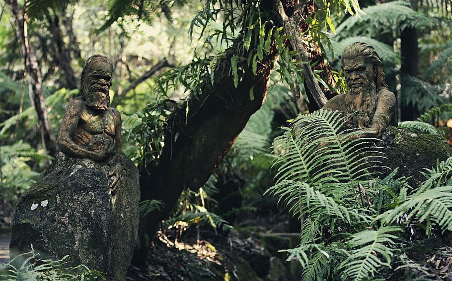 dva, kamenná socha, les, uctívání, rostlina, budova, architektura, umění, Buddha, strom, symbol, tiki, pilíř, sloupec, totem, chrám, svatyně, vegetace, kapradina, Příroda, deštný prales, přistát, zaměřit se na popředí, nikdo, den, růst, rostlinné části, list, sochařství, zelená barva, zastoupení, socha, venku, krása v přírodě, klid, lidské zastoupení, umění a řemesla, detail, 5K