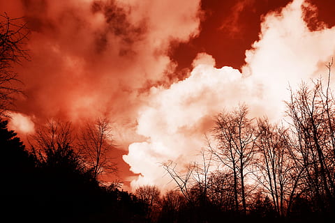 boom, romp, tak, kale bomen, winter bomen, silhouet, boom silhouet, natuur, landschap, luchten, wolken, golvende wolken, vlammende luchten, apocalyptische, hemel, wolk - lucht, fabriek, schoonheid in de natuur, geen mensen, Bos, kale boom, scenics - natuur, zonsondergang, milieu, Oranje kleur, kalmte, lage hoekweergave, rustige scène, niet-stedelijke scène, land-, buitenshuis, bos-, donker, luchtvervuiling, verontreiniging, 4K, CC0, publiek domein, royaltyvrij