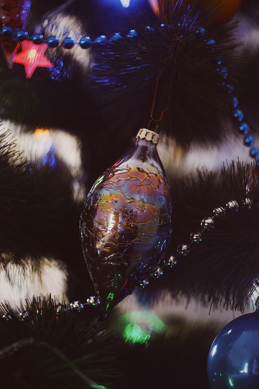babiole irisée, ornement, plante, arbre, oiseau, animal, bouteille, Sapin de Noël, accessoire, accessoires, sphère, perle, boisson, lumière, abies, sapin, éclairage, décoration de maison, la nature, cristal, décoration de Noël, Noël, fête, fermer, vacances, décoration, personne, lumières de Noël, événement de vacances, un événement, événement de célébration, illuminé, nuit, pendaison, religion, 5K
