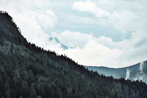 antenowy, zobacz fotografię, chmury, drzewo iglaste, światło dzienne, środowisko, krajobraz, góry, Natura, na dworze, sceniczny, niebo, drzewa, Las, chmura - niebo, drzewo, Góra, roślina, scenics - natura, piękno natury, spokój, żadnych ludzi, spokojna scena, wylądować, scena pozamiejska, dzień, niski kąt widzenia, pasmo górskie, 4K, CC0, domena publiczna, darmowe zdjęcia