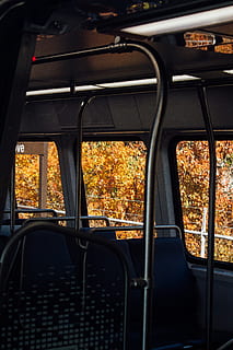 tom bus, gelænder, Rockville, Forenede Stater, skyggefulde lund station, køretøj, transportmidler, bus, træ, plante, tilbehør, briller, rækværk, pude, vindue, passager bil, tour bus, asfalt, transportform, sæde, køretøj interiør, ingen mennesker, dag, efterår, rejse, land køretøj, udendørs, natur, lave om, metal, bil, jernbanetransport, motor køretøj, glas - materiale, offentlig transport, 5K, CC0, offentligt domæne, royaltyfrie