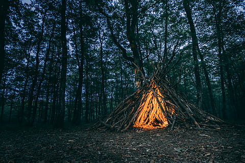 maro, de lemn, foc de tabără, mijloc, pădure, foc, întuneric, teepee, copac, plantă, teren, natură, trunchi de copac, trompă, creştere, frumusețe în natură, liniște, scenă non-urbană, în aer liber, o scenă liniștită, nici o persoana, zi, camping, scenice - natura, cer, Buturuga, latra, 5K, CC0, domeniu public, fără drepturi de autor
