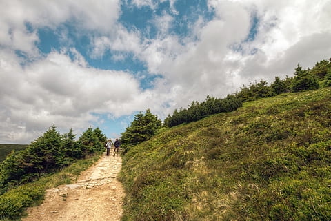 indah, melihat, klasik, jejak gunung, cuaca, awan - langit, menanam, langit, pohon, pemandangan, lingkungan Hidup, keindahan di alam, scenics - alam, alam, arah, rumput, adegan non-urban, warna hijau, ketenangan, trotoar, jalan lurus, adegan yang tenang, tanah, tidak ada orang, pertumbuhan, di luar rumah, pohon jenis konifera, jejak, 4K, CC0, domain publik, bebas royalti
