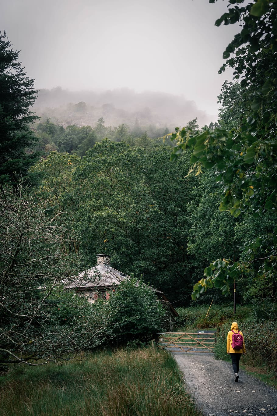 persona, caminar, rural, carretera, aventura, motxilla, ennuvolat, la llum del dia, medi ambient, boira, bosc, noia, herba, grava, verd, terres altes, turó, paisatge, muntanya, senderisme a la muntanya, muntanyes, naturalesa, Camí, pluja, impermeable, arbres, viatge, humit, fusta, groc, planta, arbre, persones reals, creixement, una persona, bellesa a la natura, vista del darrere, longitud completa, estils de vida, dia, color verd, cel, activitat d'oci, transport, escenics - natura, a l'aire lliure, 5K