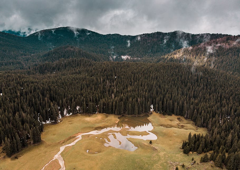 řeka, borovice, zataženo, den, Krásná, jehličnatý strom, svítání, denní světlo, životní prostředí, evergreen, podzim, pole, les, ponurý, šedá obloha, kopec, krajina, hora, hory, Příroda, venku, scenérie, scénický, sezóna, cestovat, stromy, voda, počasí, scenics - příroda, mrak - nebe, pohoří, rostlina, klid, strom, nikdo, nebe, krása v přírodě, přistát, klidné scény, mimoměstské scény, 2K