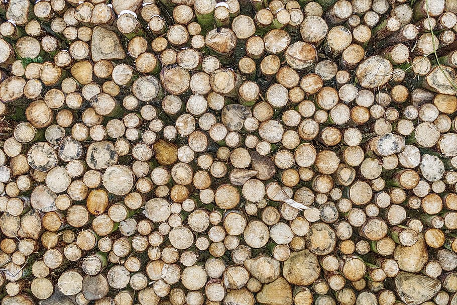 struttura, sfondo, modello, legna, astratto, strutture, sfondi, intestazione, sito web, alberi, tensioni, piace, accatastati, mucchio di legno, legna da ardere, fotogramma intero, grande gruppo di oggetti, abbondanza, nessuno, natura, giorno, pila, all'aperto, avvicinamento, legno - materiale, albero, natura morta, cibo e bevande, cibo, direttamente sopra, terra, strutturato, ceppo, 5K