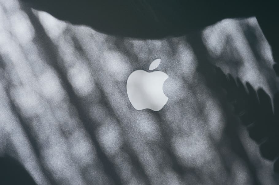poma, ombres, ombra, MacBook, pro, MacBook Pro, macbookpro, nocolors, sense filtre, planta, símbol, amor, forma del cor, primer pla, emoció, emoció positiva, a l'interior, vista d’angle alt, part del cos humà, una persona, disseny, secció mitjana, persones reals, forma, dia, enfocament selectiu, creativitat, 5K