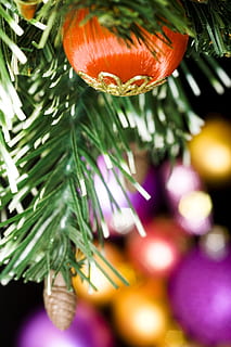 fons, pilota, bauble, branca, brillant, celebració, Nadal, arbre de Nadal, color, fosc, decoració, regal, or, penjant, festa, encès, alegre, ornament, esfera, vibrant, yule, planta, primer pla, centrar-se en primer pla, bellesa a la natura, cap gent, creixement, arbre, decoració de Nadal, naturalesa, enfocament selectiu, color verd, frescor, dia, porpra, 4K, CC0, domini públic, lliure de regalies